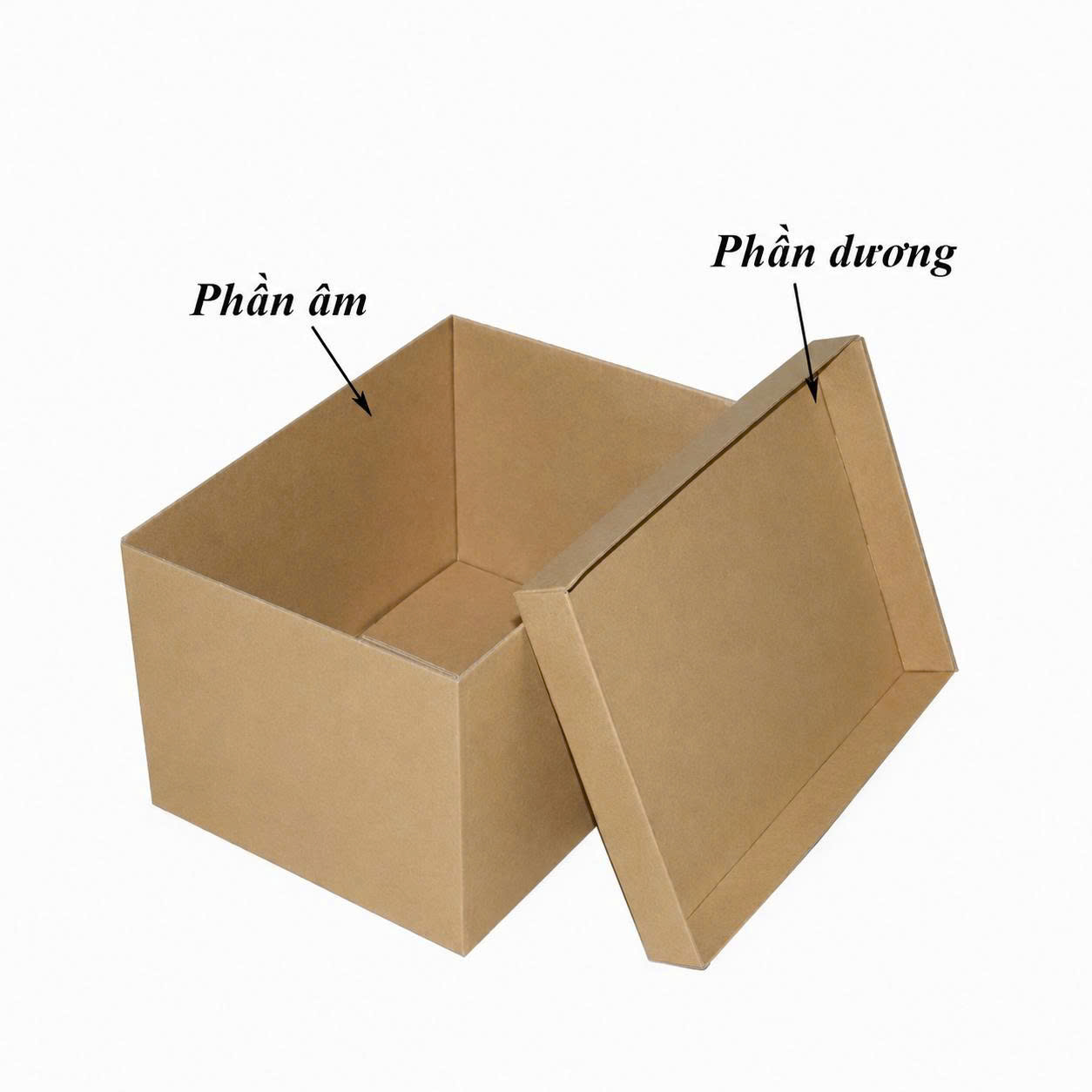 mẫu hộp carton âm dương