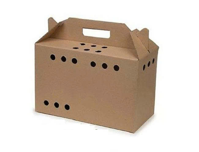 thùng carton có quai xách